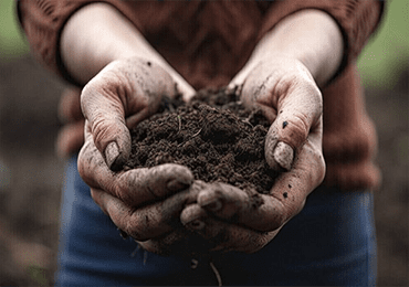 Celanese: Moving to Recycled, Biobased, Sustainable Options